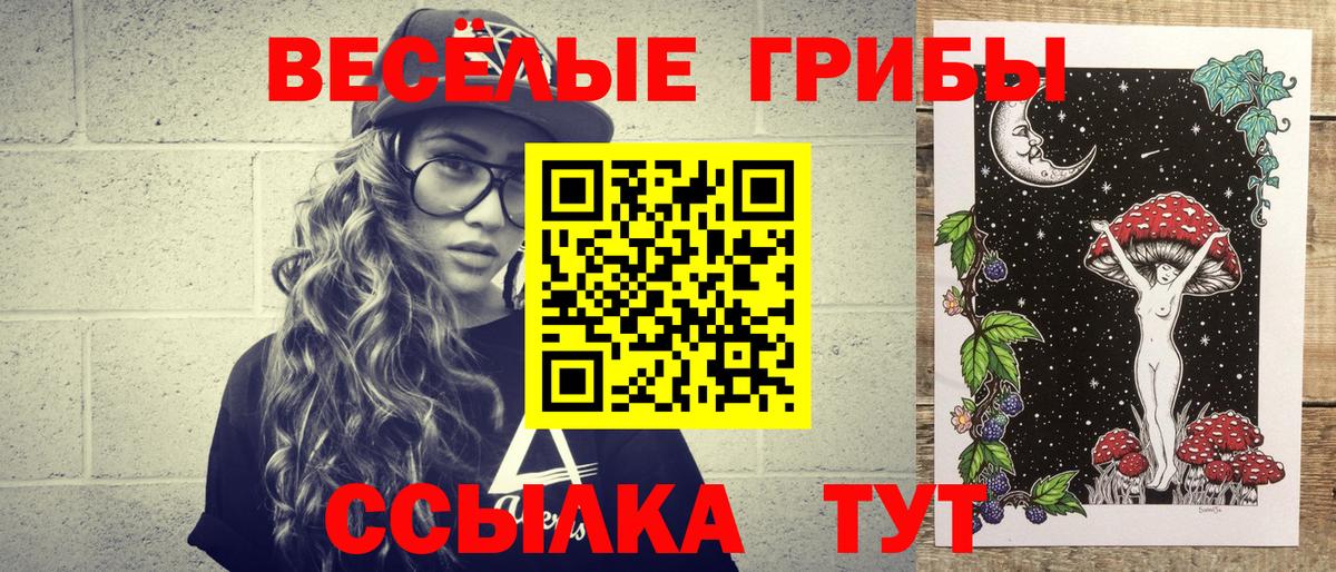 Псилоцибиновые грибы прущие грибы Петрозаводск