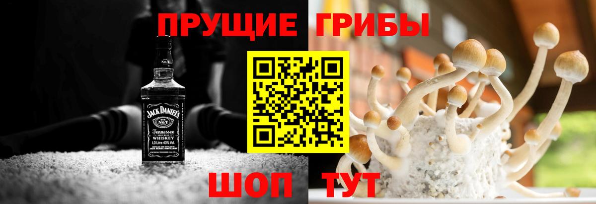 Псилоцибиновые грибы GOLDEN TEACHER  Вход с VPN  Петрозаводск 